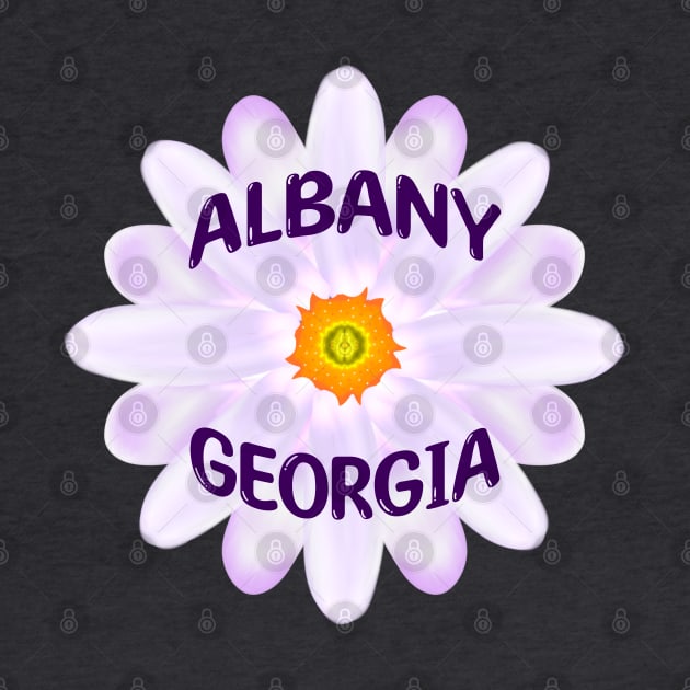 Albany Georgia by MoMido